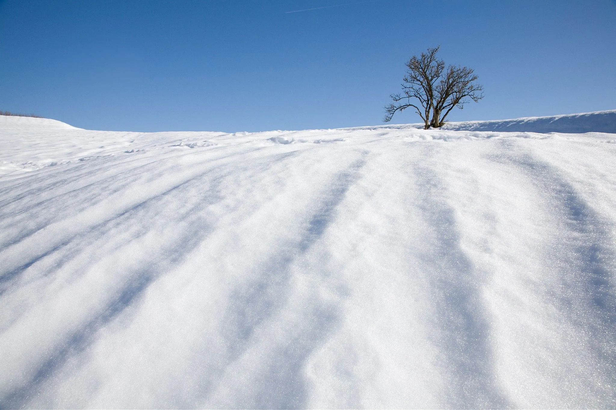 Photographing Snow in Bright conditions