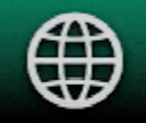 Network icon