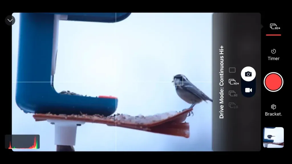 Switch drive modes with Shutter