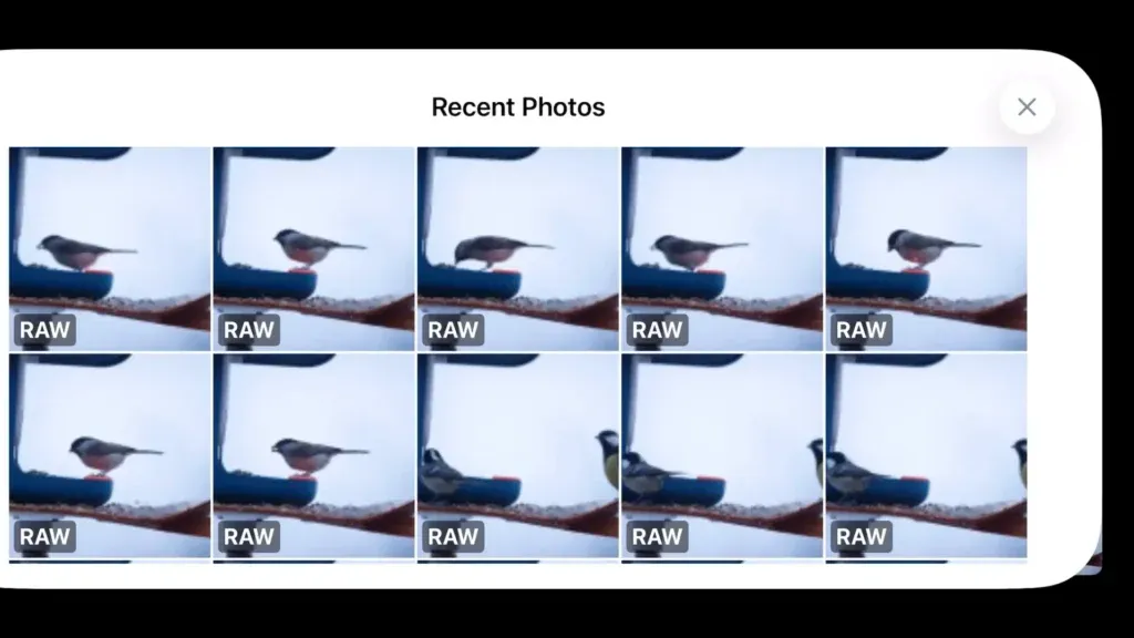 Thumbnail preview in Shutter